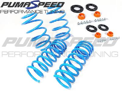 Pumaspeed Focus RS Mk3 Handling Upgrade Kit